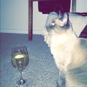 Meet your Posher, Madison